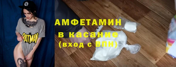 индика Белокуриха