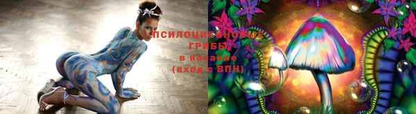 спиды Богородицк