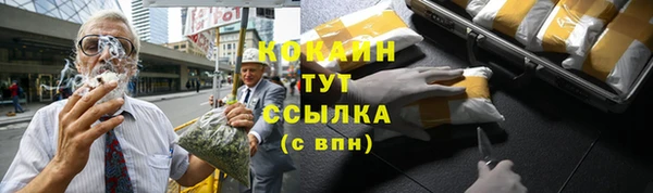 индика Белокуриха