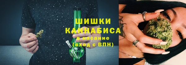 спиды Богородицк