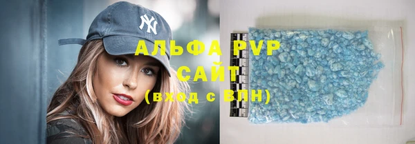 индика Белокуриха