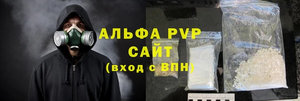 индика Белокуриха
