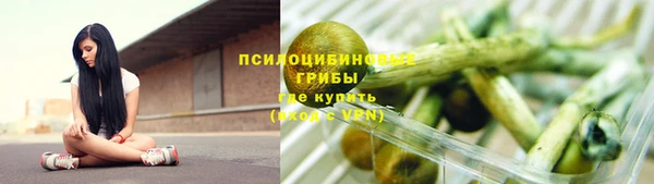 прущие грибы Беломорск