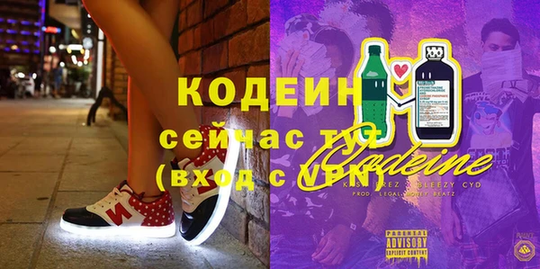 индика Белокуриха
