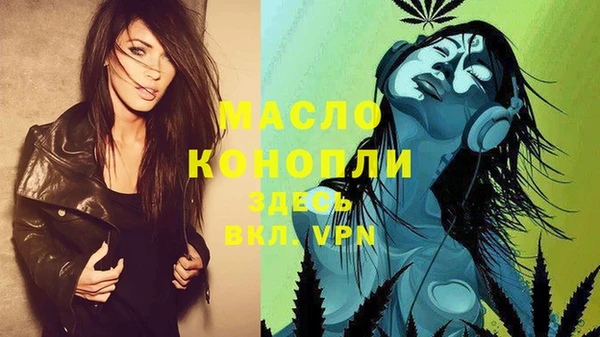 индика Белокуриха